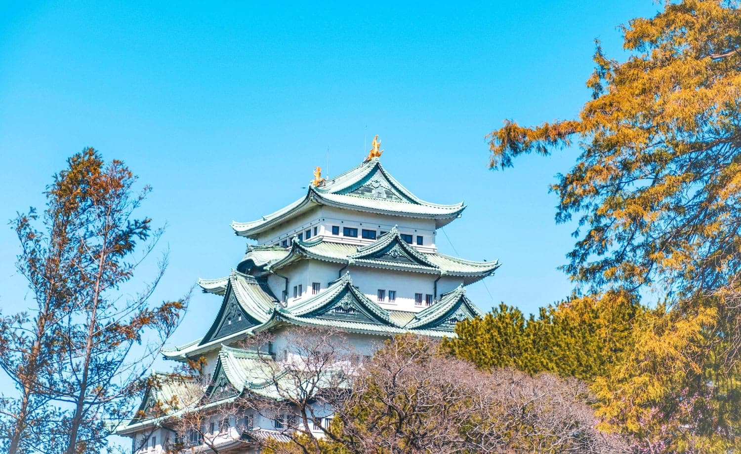 愛知縣