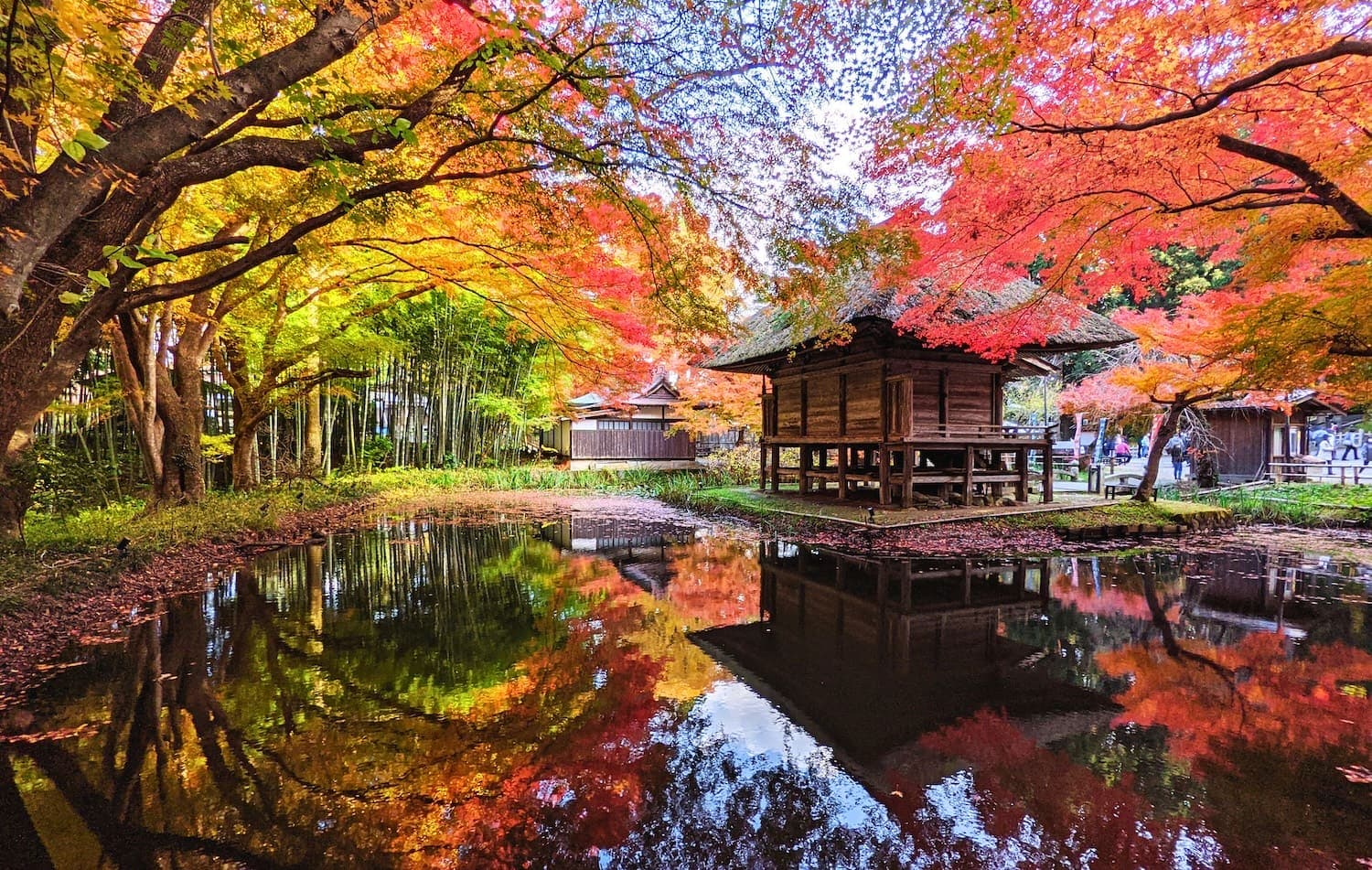 岩手縣