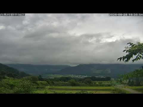 野平一本櫻/ 白馬三山