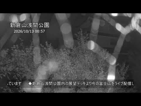 富士山（新倉山淺間公園）