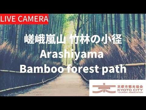 京都嵐山竹林小徑
