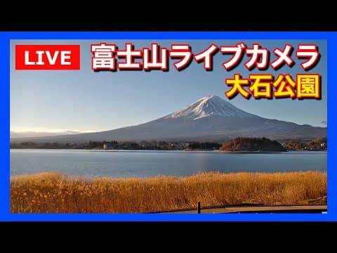 富士山(河口湖大石公園)