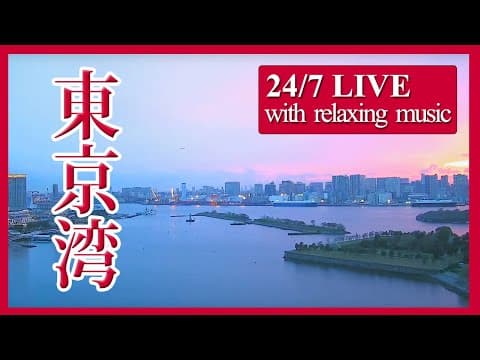 台場公園與東京灣