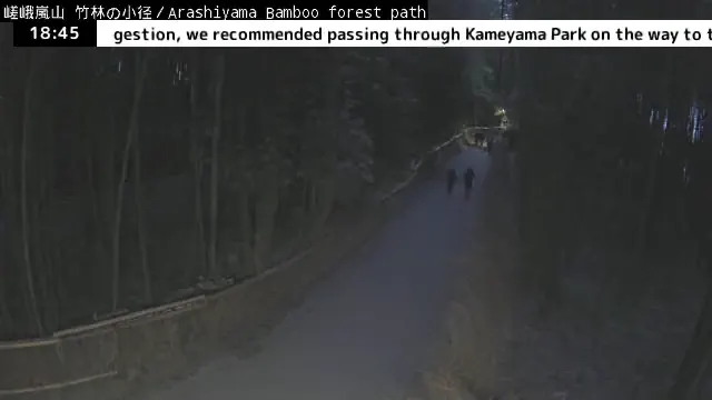 京都嵐山竹林小徑 即時影像 - 2026-04-14 18:46